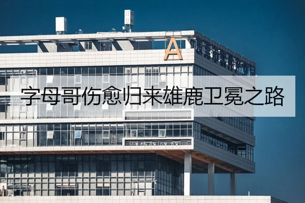 字母哥伤愈归来雄鹿卫冕之路