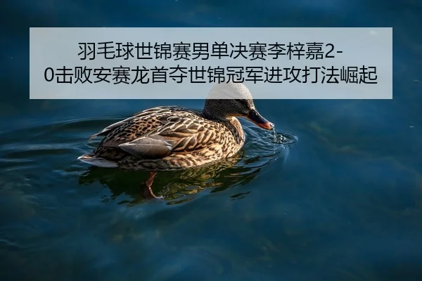 羽毛球世锦赛男单决赛李梓嘉2-0击败安赛龙首夺世锦冠军进攻打法崛起